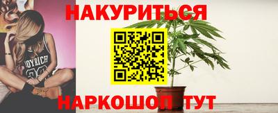 альфа пвп Волгодонск