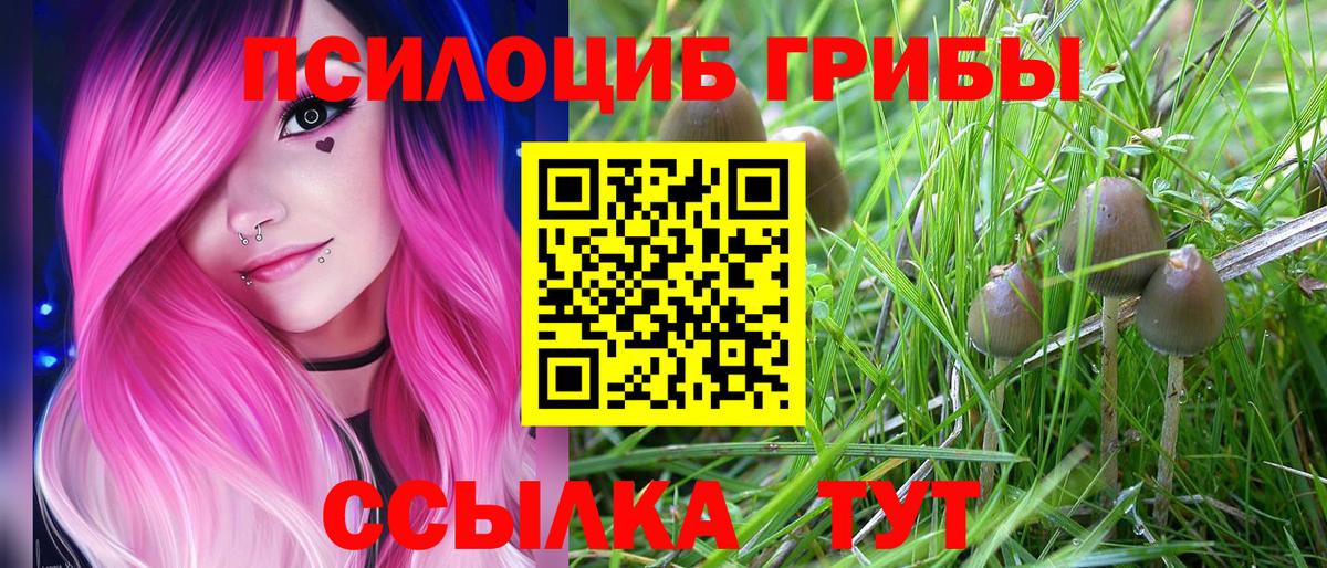 Псилоцибиновые грибы мухоморы  где можно купить наркотик  Татарск  Вход с VPN 